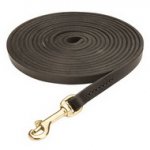Guinzaglio in cuoio da addestramento per cani