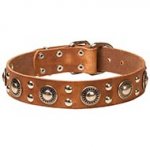 Collare di pelle vera con borchie "Rock-n-roll" per cane