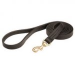 Guinzaglio per cani di servizio