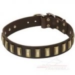 Collare in cuoio con piastre rettangolari