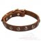 Collare in cuoio con borchie rotonde in ottone per cane