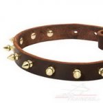 Collare stretto con borchie a punta per cane