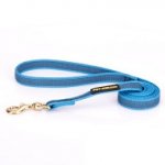 Guinzaglio blu in nylon gommato per passeggiate con cane