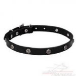Collare con borchie a fiore cromate per cane