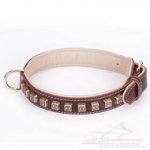 Collare originale con decorazioni in ottone per cane
