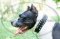 Collare in nylon con borchie a punta per Amstaff