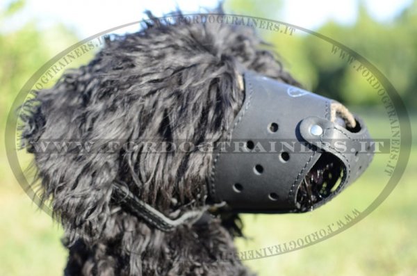 Museruola di cuoio "Trained Dog" per Terrier Nero Russo