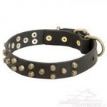 Collare in cuoio con borchie a piramidi per cane