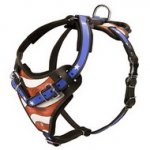 Pettorina per cani dipinta a mano "Bandiera americana"