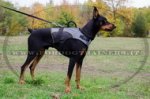 Pettorina in nylon chiusa per Dobermann
