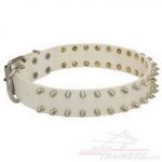 Collare in cuoio bianco con borchie a punta per cane