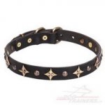 Collare con borchie "Four Cornered Stars" per cane