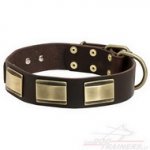 Collare in cuoio con piastre in rilievo per cane