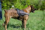 Pettorina con striscia rifrangente per Boxer