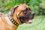 Collare in cuoio con piastre per Bullmastiff