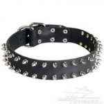 Collare in cuoio con borchie a punta per cane