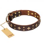Collare marrone "High Fashion" FDT Artisan per cane