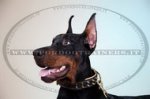 Collare in cuoio con borchie a punta per Dobermann