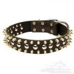 Collare in cuoio con borchie decorative per cane