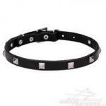 Collare con piramidi cromate per cane