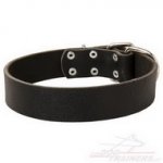 Collare classico in cuoio per cane, 40 mm