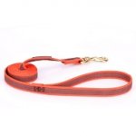 Guinzaglio arancione in nylon gommato per cane forte