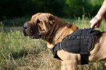 Pettorina multi-funzionale di nylon per Shar Pei
