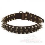 Collare in cuoio con borchie decorative per cane