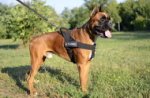 Pettorina in nylon da traino per Boxer