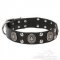 Collare con borchie decorative per cane