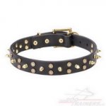 Collare "Space travel"con borchie in ottone per cane