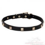 Collare con piramidi in ottone per cane