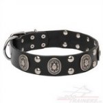 Collare con borchie decorative per cane