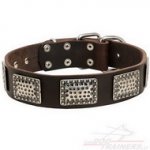 Collare in cuoio con piastre decorative per cane