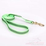 Guinzaglio verde in nylon gommato per uscite con cane