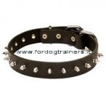 Collare in cuoio con borchie a punta per cane