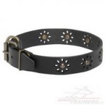 Collare con borchie decorative per cane