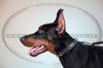 Collare in cuoio con borchie a piramidi per Dobermann