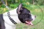 Collare in cuoio con borchie a piramide per Amstaff