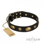 Collare per cani Artisan in pelle nera 'Eye-Catcher'