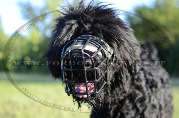 Museruola a cestello gommata per Terrier Nero Russo