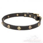 Collare con piastre in ottone a fiore per cane