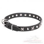 Collare con borchie a stellina "Blazing Stars" per cane