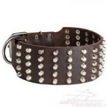 Collare in cuoio con borchie a piramide per cane