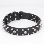 Collare in cuoio "Jolly Roger's Spikes" per cane