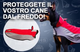 Cappottino per cane