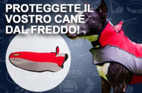 Cappottino per cane