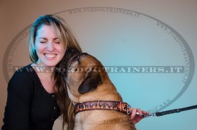Collare in cuoio dipinto a mano "Fuoco" per Bullmastiff
