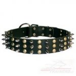 Collare in cuoio con borchie decorative per cane