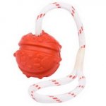 Giocattolo dentale per cane